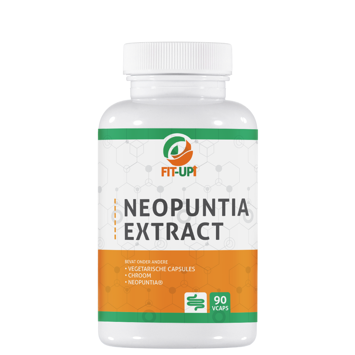 Neopuntia extract | 90 V-caps