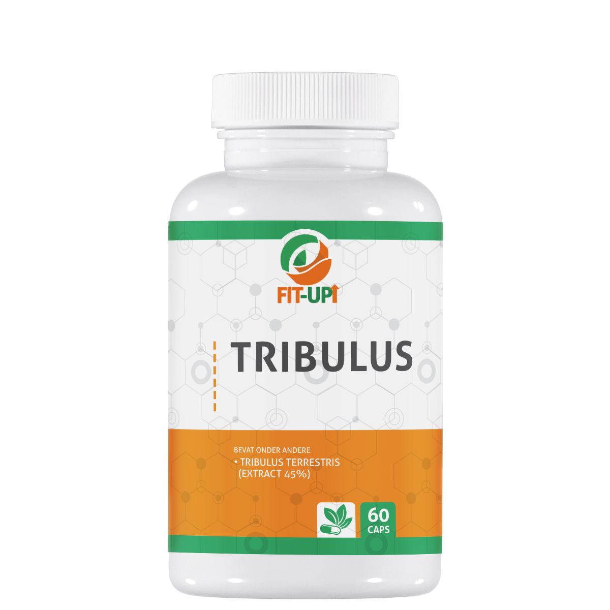 Tribulus extract | 60 capsules