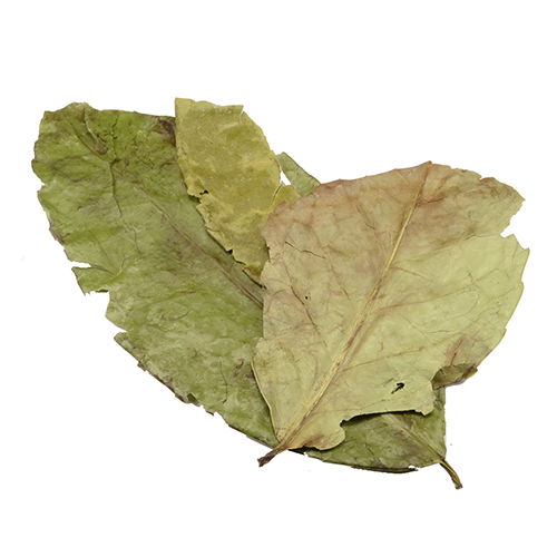 Guayusa 25g - Leaves