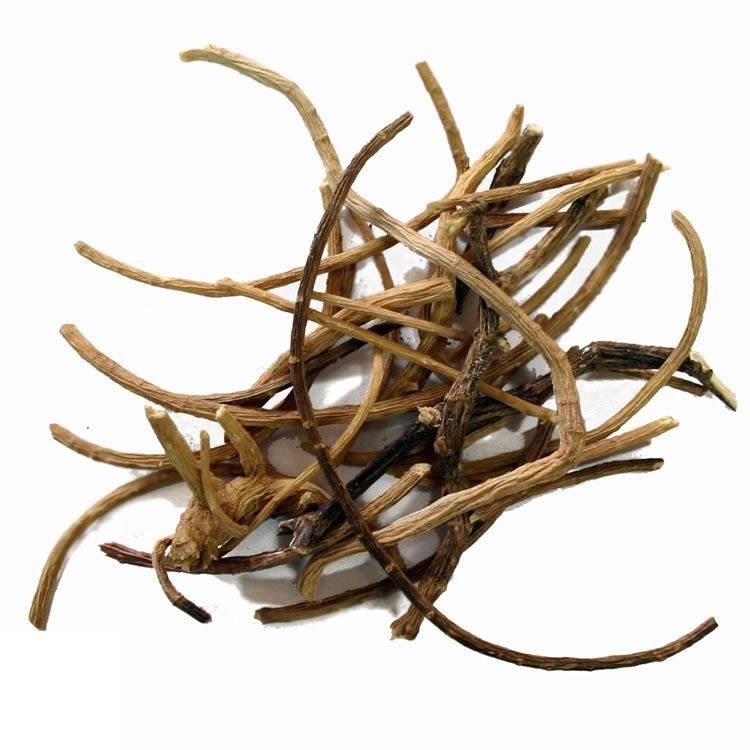 Silene Capensis - African dream root