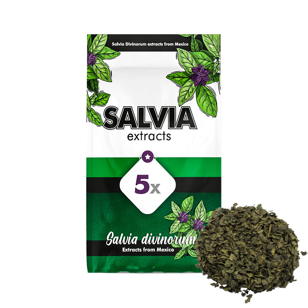 Salvia Divinorum 5X extract (1 gram)