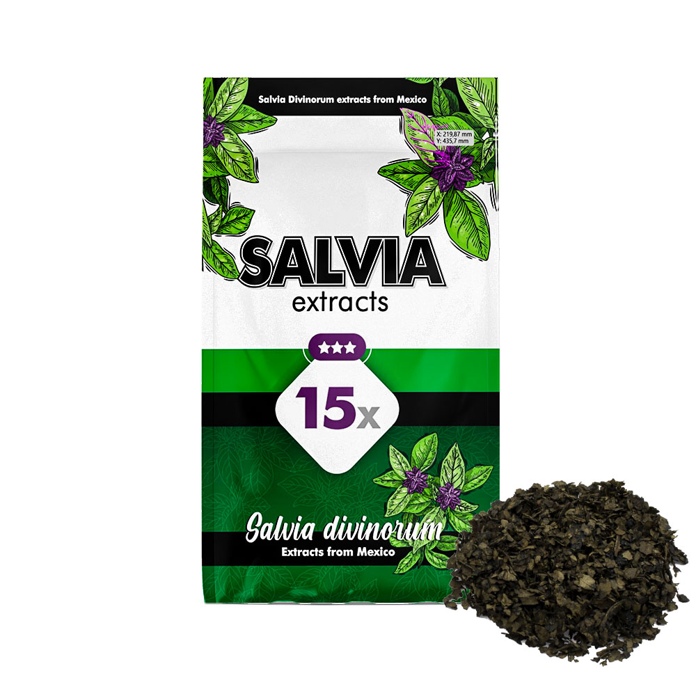 Salvia Divinorum 15X extract (1 gram)