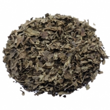 Salvia Divinorum 15X extract (1 gram)