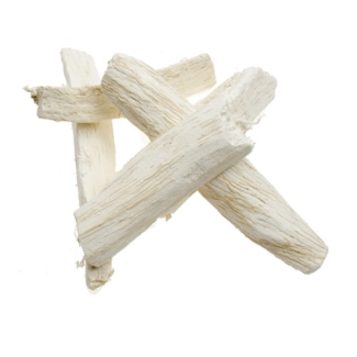 images/productimages/small/kirkii-synaptolepis-kirkii-bulk.jpg