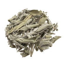 Salvia apiana - Witte salie