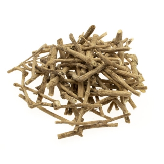 Silene capensis - Afrikaanse Droomwortel