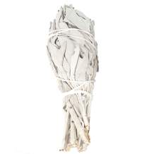 images/productimages/small/white-sage-smudge-stick.jpg