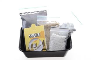 Cacti growkit