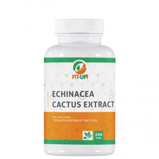 Echinacea extract 500 mg| 60 capsules