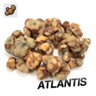 Atlantis Truffels (15 gram)