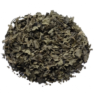 Salvia Divinorum 20X extract (1 gram)