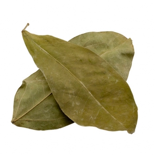 Ajos sacha - Leaves