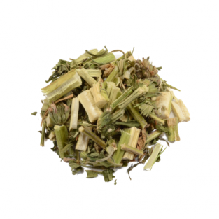Marihuanilla (Leonurus sibiricus) (1000 grams)