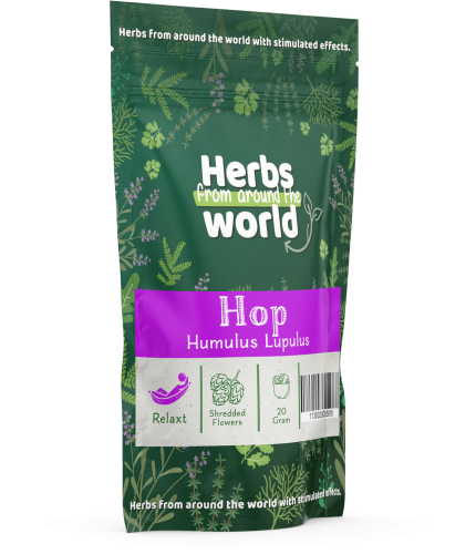 Humulus Lupulus – Hop