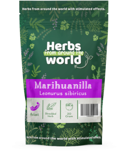 Marihuanilla - Leonurus sibiricus