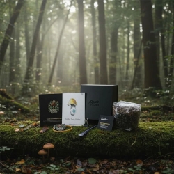 Golden Bluey Vuitton Growkit – Royale Flush