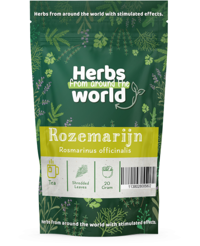 Rosmarinus officinalis  - Rozemarijn