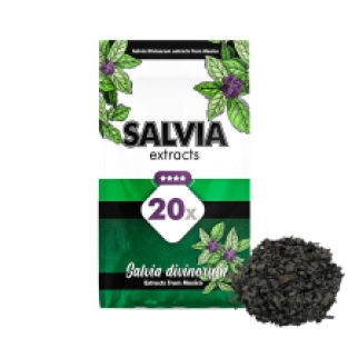 Salvia Divinorum 20X extract (1 gram)