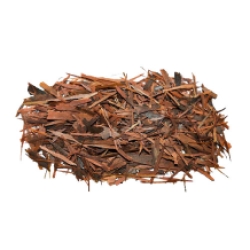 Tabebuia impetiginosa - Pau D´Arco