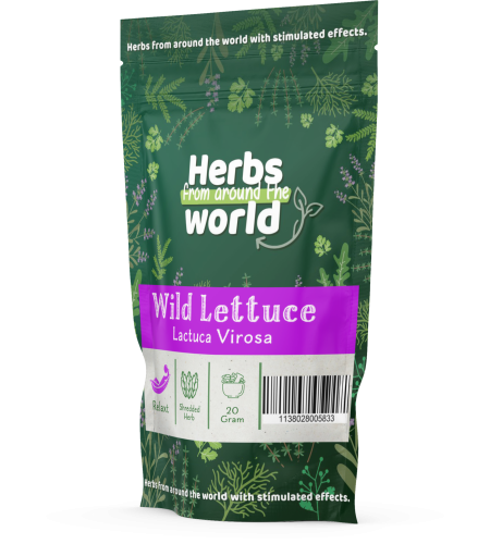 Wild Lettuce shredded - Lactuca virosa